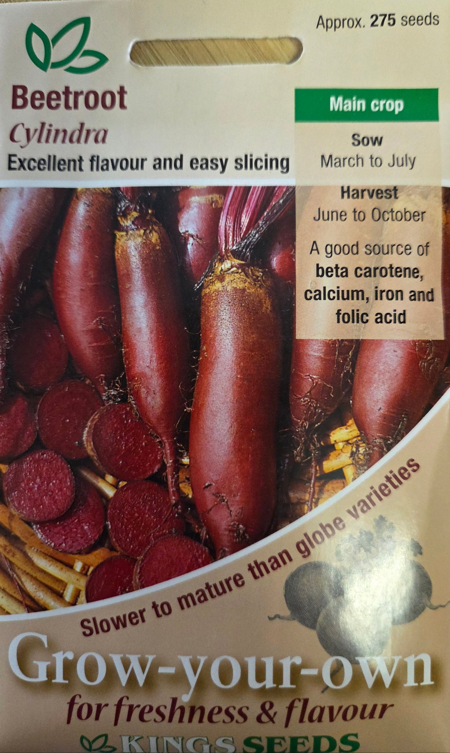 Kings Seeds Beetroot Cylindra