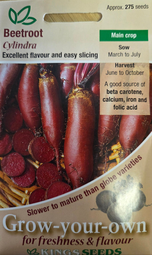 Kings Seeds Beetroot Cylindra
