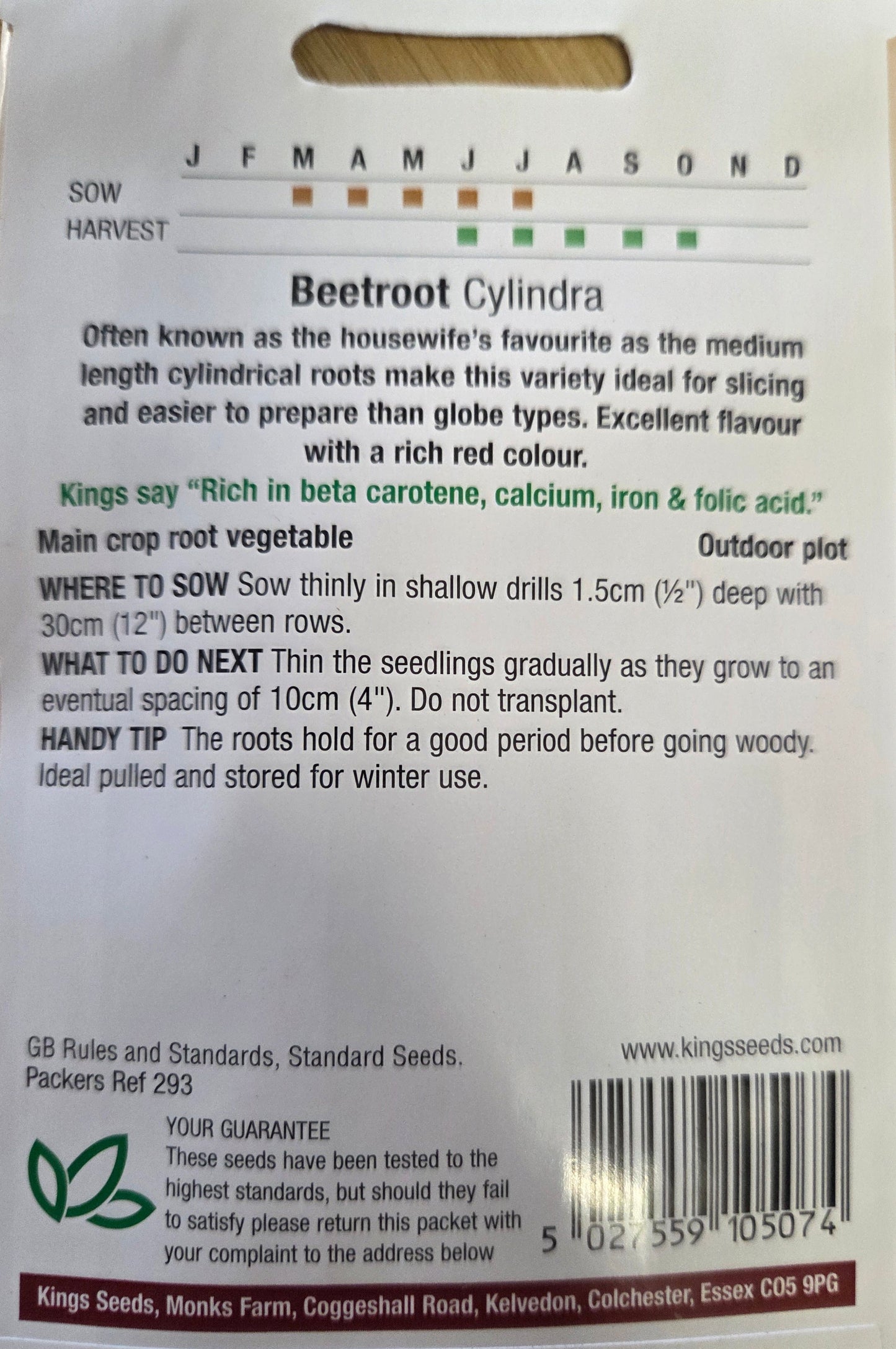 Kings Seeds Beetroot Cylindra