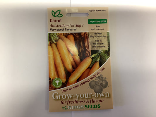 Kings Seeds Carrot Amsterdam Forcing 3