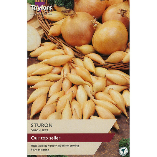 Taylors 50 Onion Sets "Sturon"