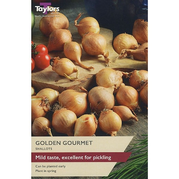 Taylors 12 Shallot Sets "Golden Gourmet"