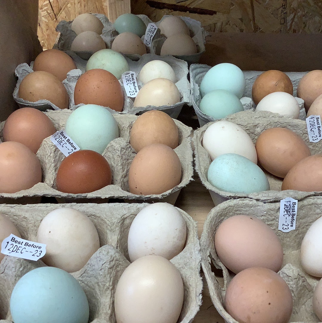 Free Range Mersea Farm Shop Rare Breed Eggs (Half Dozen)