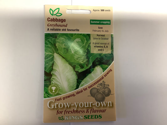 Kings Seeds Cabbage Greyhound