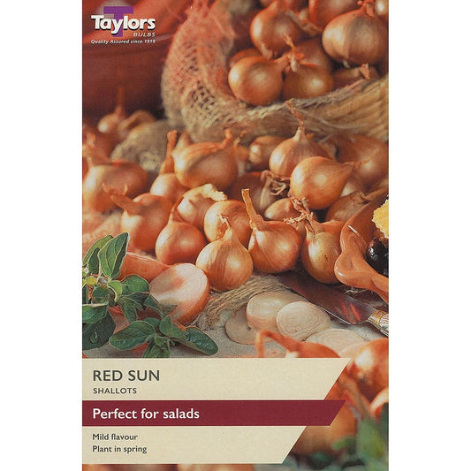 Taylors 12 Shallot Sets "Red Sun"