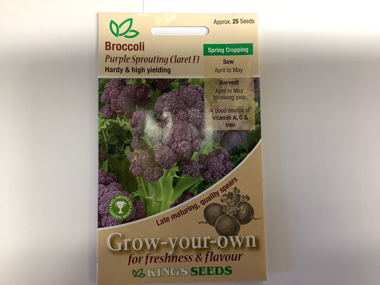 Kings Seeds Broccoli Purple Sprouting Claret F1