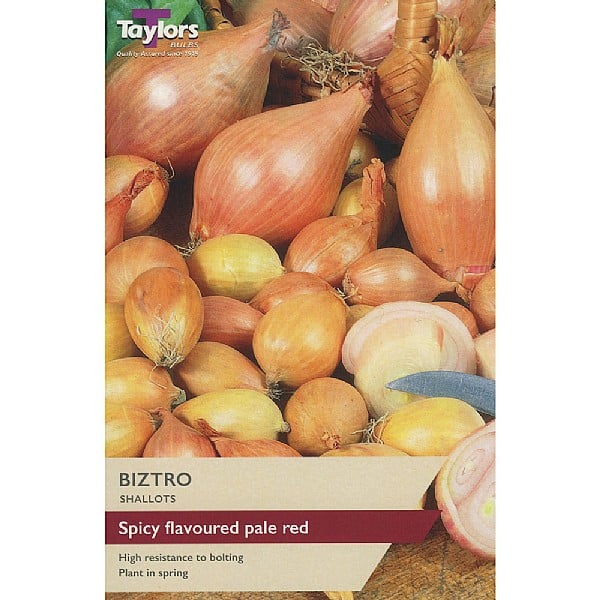 Taylors 12 Shallot Sets "Biztro"