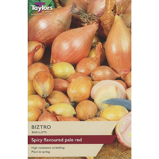 Taylors 12 Shallot Sets "Biztro"
