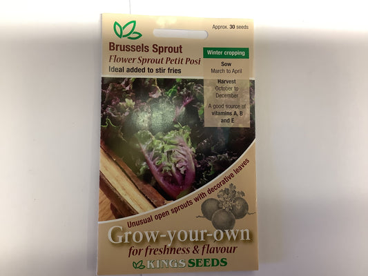 Kings Seeds Brussels Sprout Flower Sprout Petit Posi