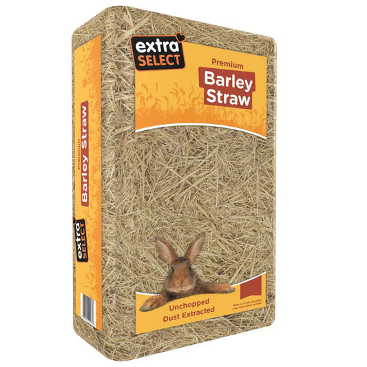 Extra Select Barley Straw 2kg
