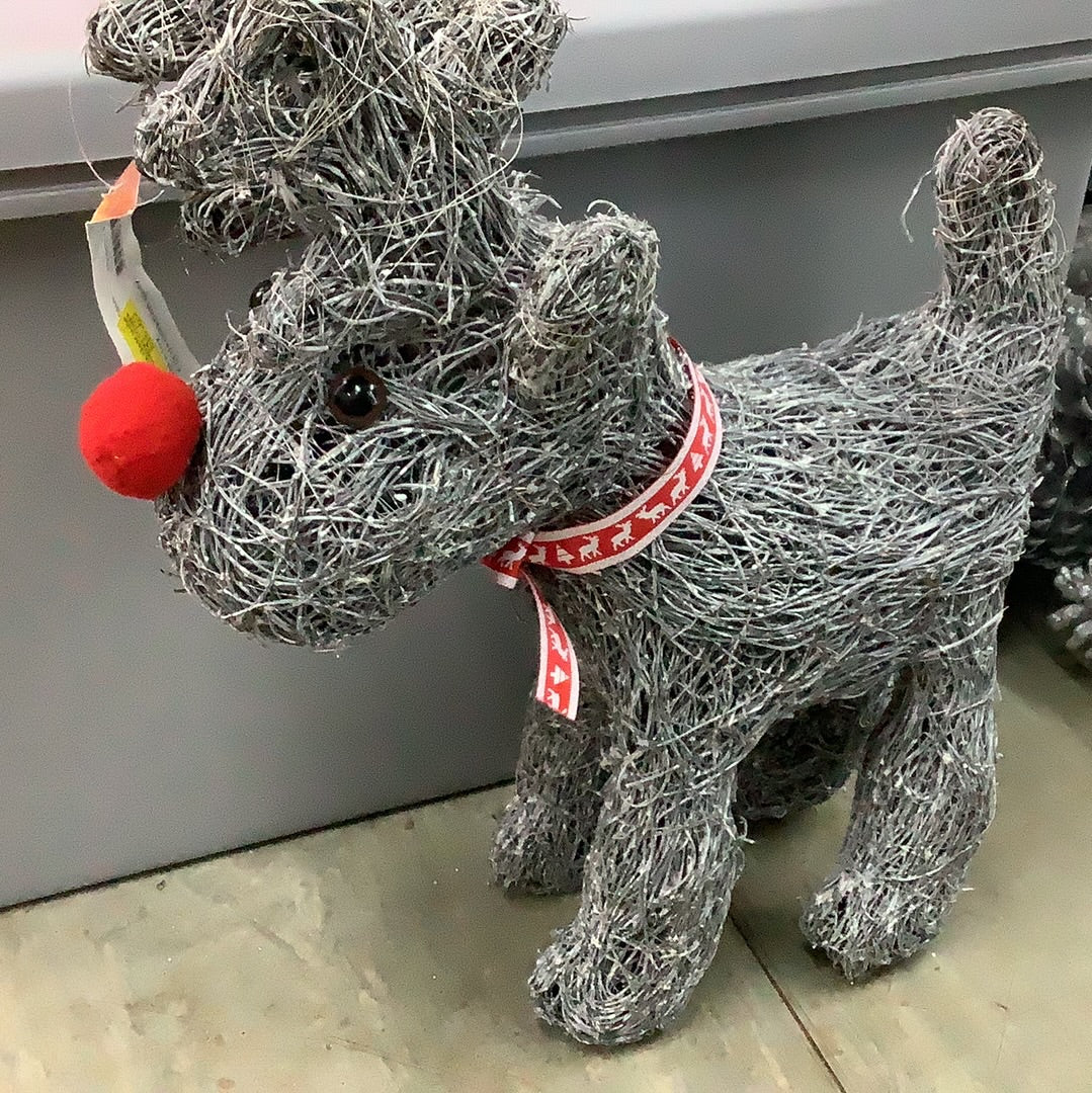 Paws & Petals Brushwood Reindeer Red Nose