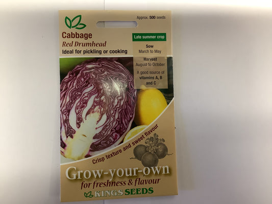 Kings Seeds Cabbage Red Drumhead