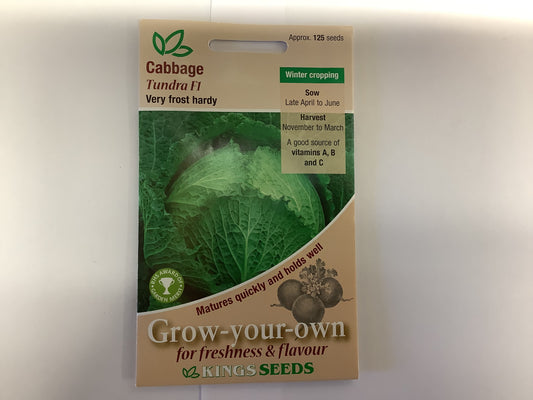 Kings Seeds Cabbage Tundra F1
