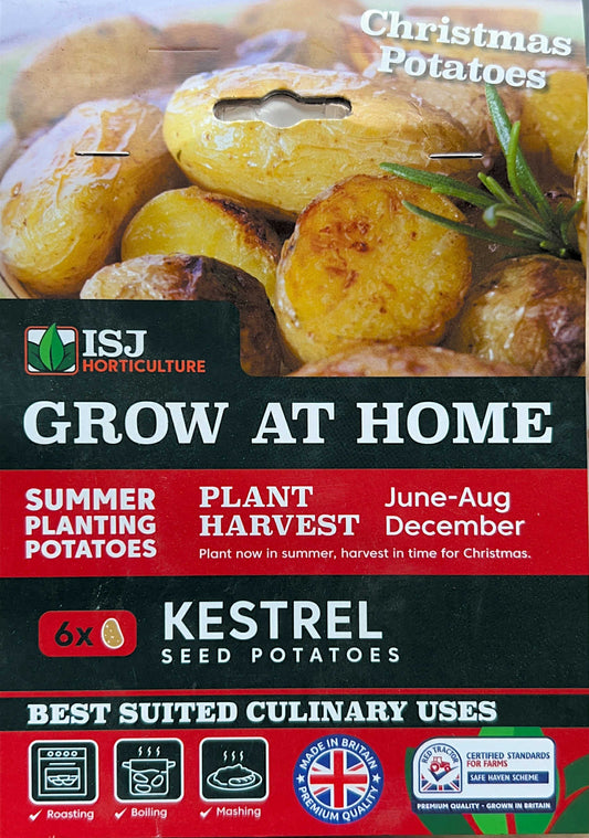 Seed Potatoes " Kestrel" X6 Summer Planting