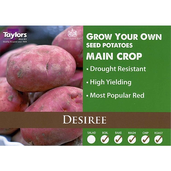 Taylors Seed Potatoes "Desiree" 2kg