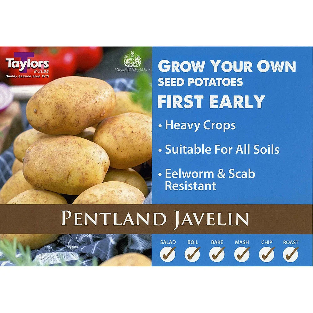 Taylors Seed Potatoes "Pentland Javelin" Taster Pack Of 10
