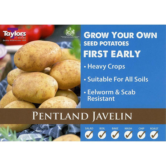 Taylors Seed Potatoes "Pentland Javelin" Taster Pack Of 10