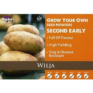 Taylors Seed Potatoes "Wilja" Taster Pack Of 10