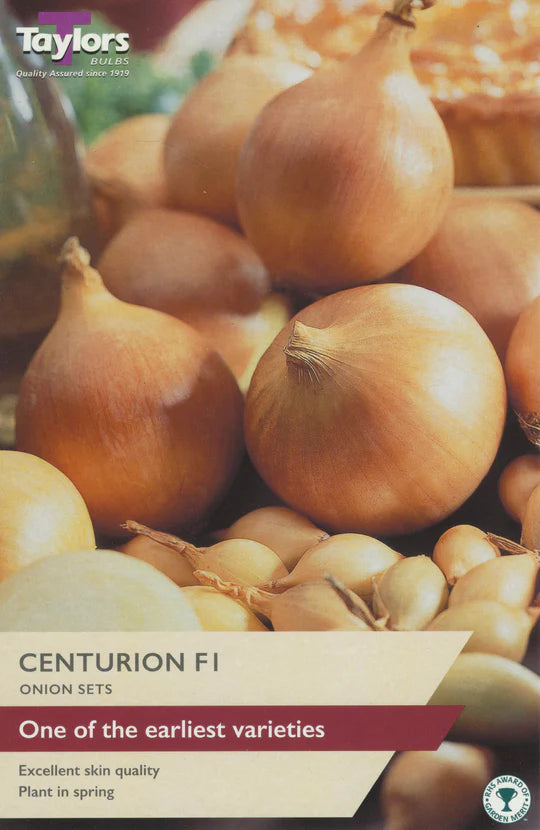 Taylors 50 Onion Sets "Centurion F1"