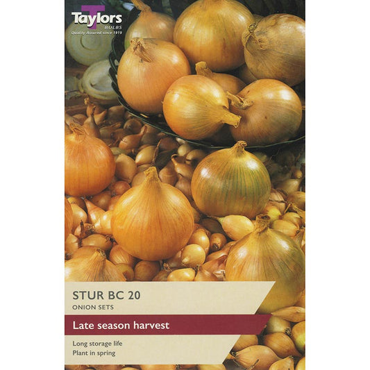 Taylors 50 Onion Sets "Stur BC 20"
