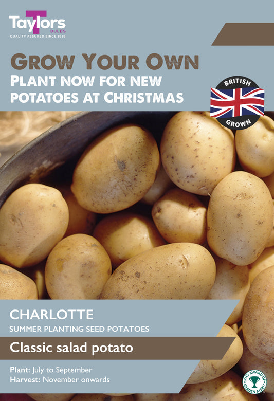 Taylors Christmas Seed Potatoes Charlotte 10 Pack