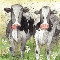Alex Clark "Curious Cows" Card (Blank)