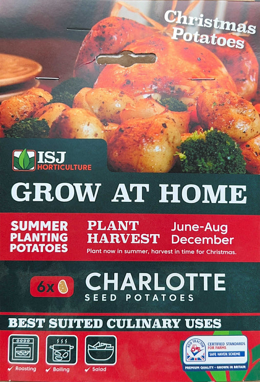 Seed Potatoes " Charlotte" X6 Summer Planting