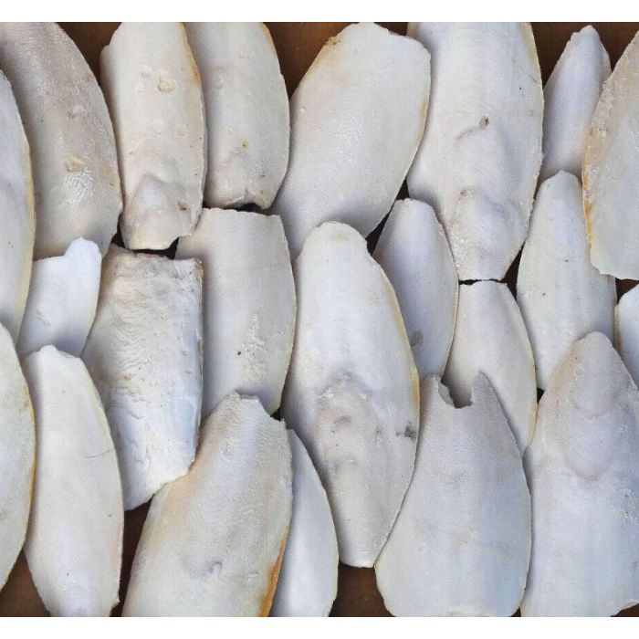 Cuttlebone 500g Bag