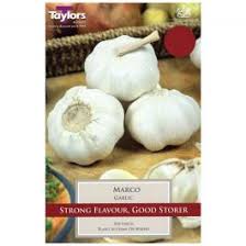 Taylors French Garlic Arno 2 Pack