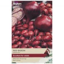 Taylors 50 Red Baron Onion Set