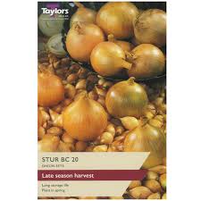 Taylors Bulbs Stur BC 20 Onion Sets 50