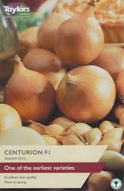 Taylors Centurion F1 Onion Sets 50