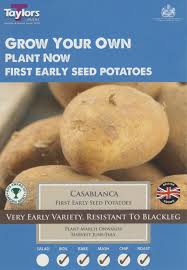 Taylors Seed Potatoes Casablanca First Early 10 Pack