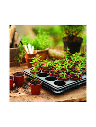 Gro-Sure Growing Tray with 40 Pots