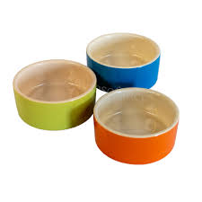 Ceramic Pet Feeding Bowl