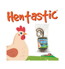Hentastic Hanging Forage Feast 400g Herby