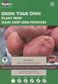 Taylors Seed Potatoes Desiree Main Crop 10 Pack