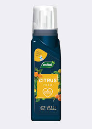 Westland Citrus Feed 200ml Easy Squeeze