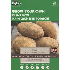 Taylors Cara Seed Potatoes Main Crop 10 Pack