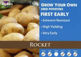 Taylors First Early Seed Potatoes Rocket 2kg
