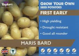 Taylors First Early Seed Potatoes Maris Bard 2kg