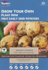 Taylors Seed Potatoes Sharpe's Express First Early 10 Pack