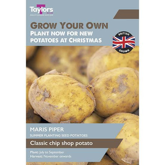 Taylors Christmas Seed Potatoes Maris Piper 10 Pack