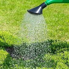 Westland Flopro Watering Can 10L Mixed Colours