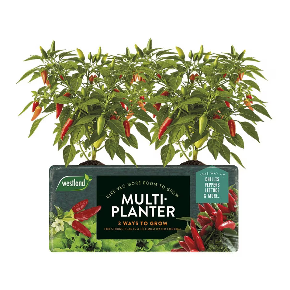 Westland Multi Planter