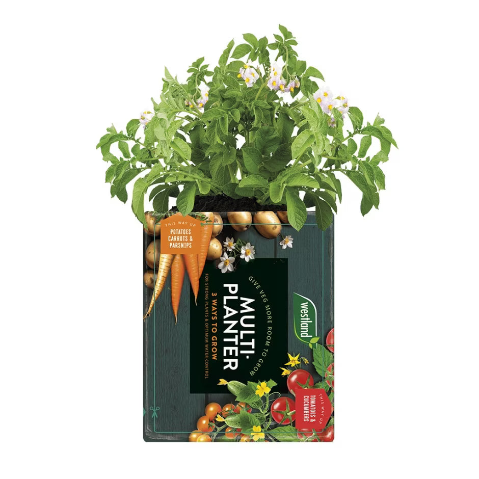 Westland Multi Planter