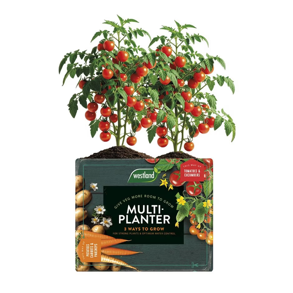 Westland Multi Planter