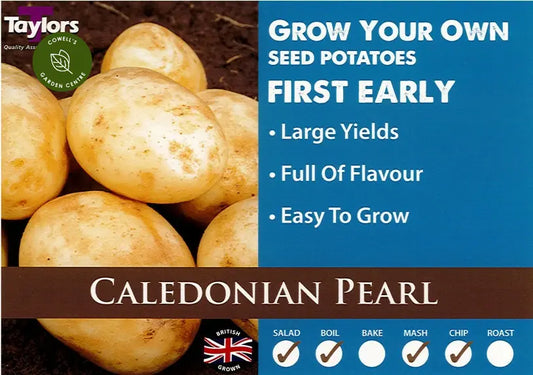 Taylors Seed Potatoes "Caledonian Pearl" 2kg