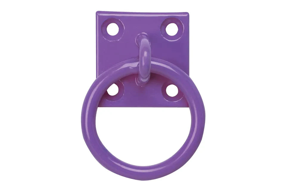 Perry 2x Swivel Tie Rings On Plate 50mmx50mm