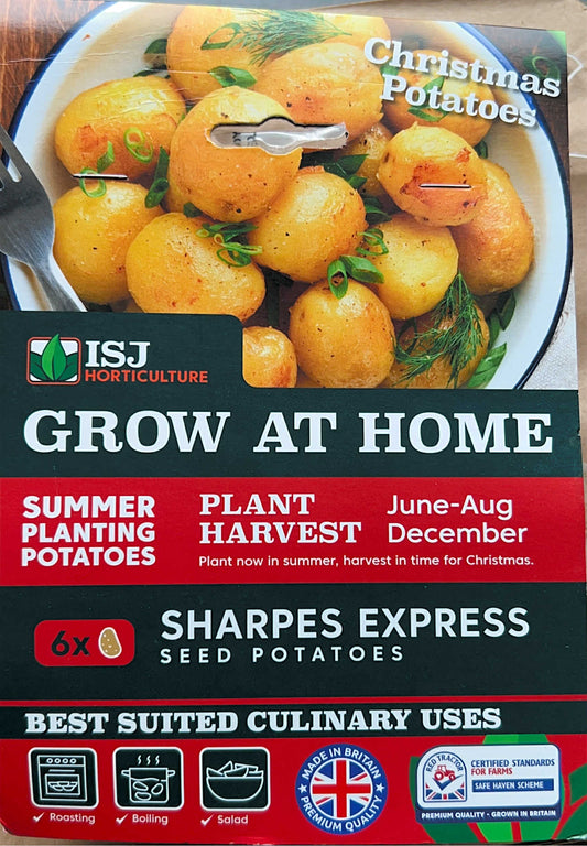 Seed Potatoes " Sharpes Express" X6 Summer Planting